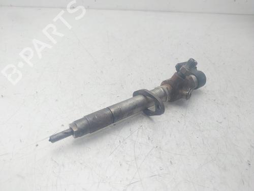 Injector LAND ROVER DISCOVERY III (L319) 2.7 TD 4x4 | BP29479795M100 