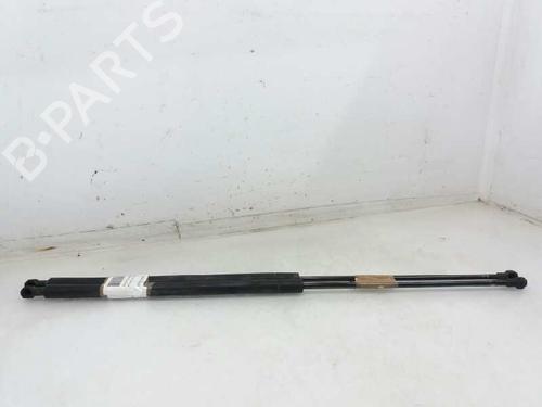 Used Hood lift support PEUGEOT 306 (7B, N3, N5) 1.9 D (69 hp) 13991375