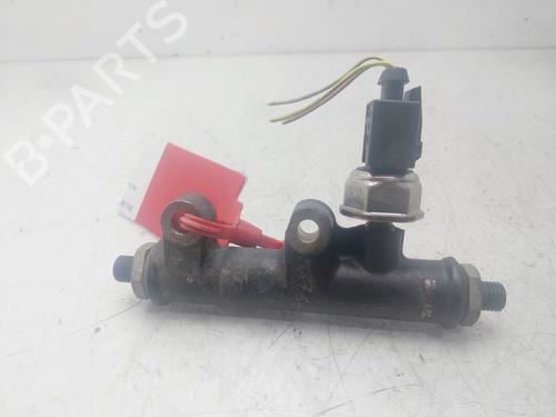 Injection rail LAND ROVER DISCOVERY III (L319) 2.7 TD 4x4 | BP29616777M98 