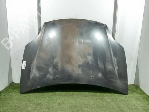 Used Hood FIAT BRAVO II (198_) 1.9 D Multijet (198AXB1A) (120 hp) 5818675