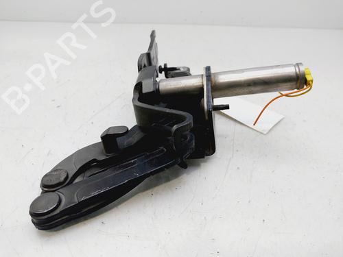 Hinge/Door check strap PEUGEOT RCZ 1.6 16V | BP29582343C146 