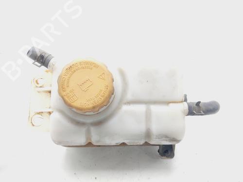 Used Expansion tank CHEVROLET AVEO / KALOS Hatchback (T250, T255) 1.2 (84 hp) 19705183