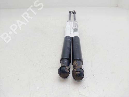 Tailgate lift support TOYOTA YARIS (_P13_)  | BP24496891C138 