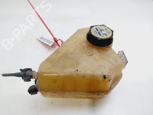 Used Expansion tank FORD FIESTA VI (CB1, CCN) 1.0 EcoBoost (125 hp) 24884652