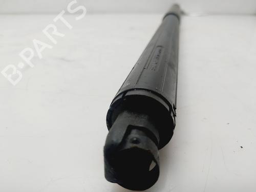 Tailgate lift support FORD KUGA III (DFK)  | BP29719384C138 