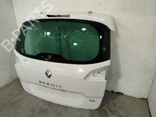 Tailgate RENAULT SCÉNIC III (JZ0/1_) 1.2 TCe (JZ16) | BP29928614C6 