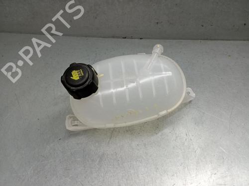 Used Expansion tank RENAULT KANGOO III Box Body/MPV [2021-2025]  24837337