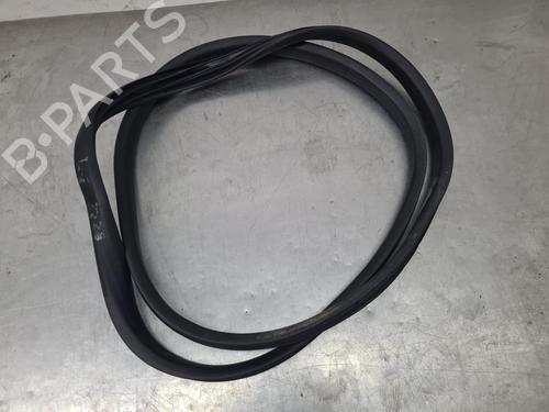 Rubber door seal RENAULT KANGOO III MPV  BP24838871C142