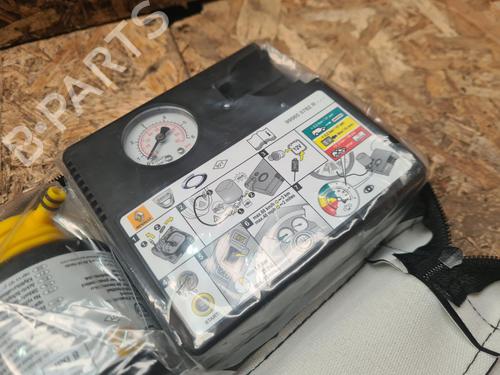 Sekundær luftpumpe DACIA JOGGER (RK_)  | BP24839489M112 