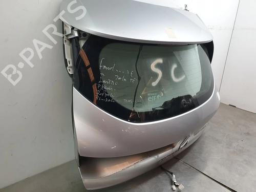 Tailgate RENAULT MEGANE IV Hatchback (B9A/M/N_) 1.5 dCi 110 (B9A3) | BP20242723C6 