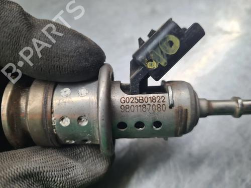 Injector PEUGEOT 308 II (LB_, LP_, LW_, LH_, L3_) 2.0 BlueHDi 150 | BP27841047M100 