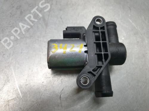 Egr RENAULT AUSTRAL E-TECH 200 Hybrid (HGM2) (199 hp) 28102130