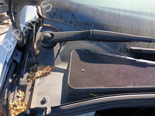 Front wiper motor FORD FOCUS III 1.0 EcoBoost | BP28142585M29 