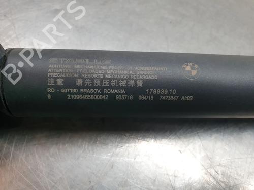 Tailgate lift support BMW X2 (F39) xDrive 20 d | BP28169340C138 