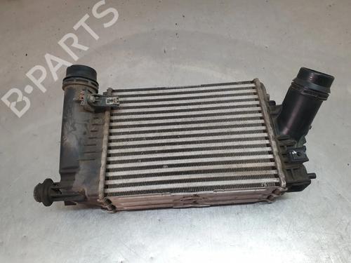 Intercooler RENAULT KOLEOS II (HC_) 2.0 dCi 175 (HCAK) | BP19521801M30 