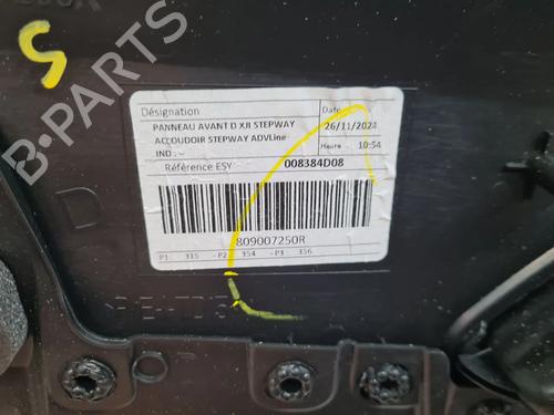 Front right panel DACIA SANDERO III  | BP28315939C59 