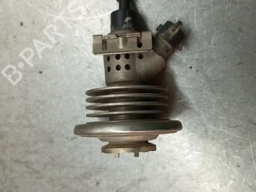 Spreder / Dyse RENAULT CAPTUR I (J5_, H5_) 0.9 TCe 90 | BP28423495M100 