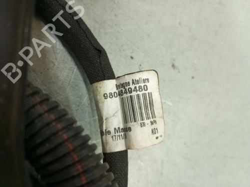 Start/Stop ECU CITROËN C4 Picasso II 1.6 BlueHDi 120 | BP28483434M59 