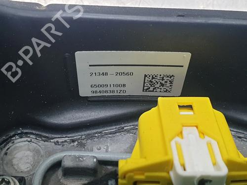 Rat DS DS 4 II (FR_, FB_, F3_, FP_) BlueHDi 130 (FBYHZT) | BP29013265C49 