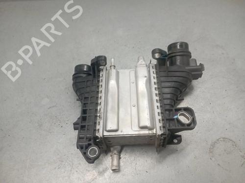 Intercooler RENAULT KANGOO Express (FW0/1_) 1.5 dCi 80 (FW15) (80 hp) 29038059