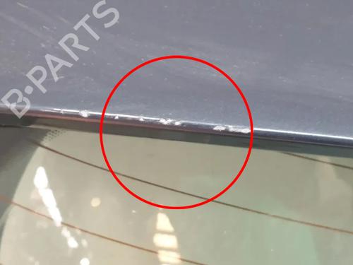 Bakluke CC/Kombi-Kupé FORD FIESTA VI (CB1, CCN) 1.0 EcoBoost | BP23953844C6 