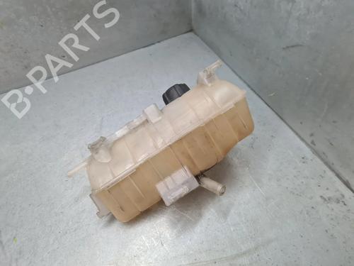 Serbatoio di espansione RENAULT KANGOO Express (FW0/1_) 1.5 dCi 75 (FW07, FW10, FW04) (75 hp) 29271484