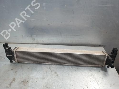 Intercooler SKODA FABIA III (NJ3) 1.0 TSI | BP29405734M30 