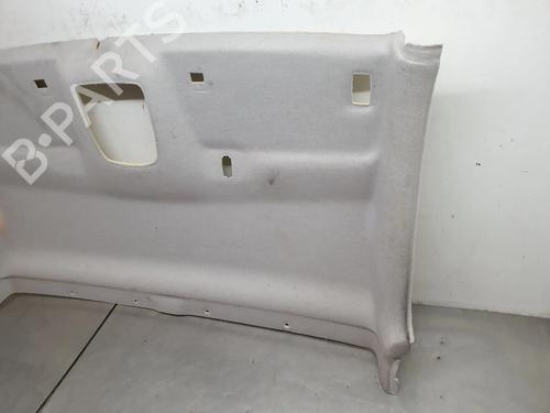 Interior roof FIAT SCUDO Van 1.5 Multijet 100 (506) | BP29431921I12 