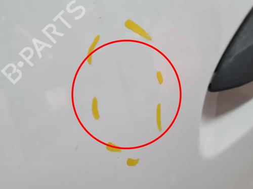 Left front door DACIA SANDERO II 1.2 | BP26309197C2 