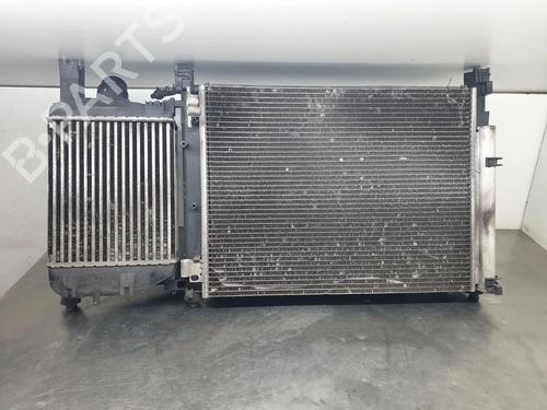 Radiatorsett DACIA LODGY (JS_) 1.2 TCe (JSAY, JSM0) | BP29619973M120 