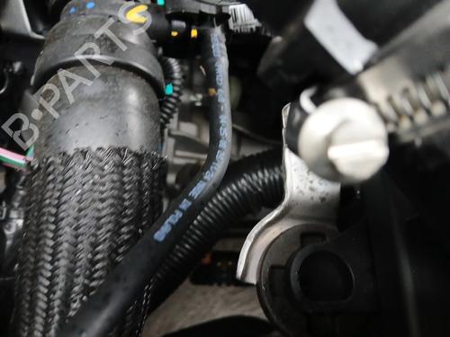 Used Gearbox DACIA SANDERO III 1.0 TCe 90 (91 hp) 29732223