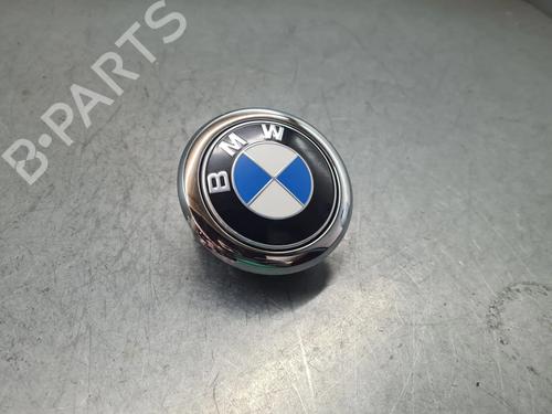 Bagagerumshåndtag BMW X2 (F39) xDrive 20 d | BP29749757C132 