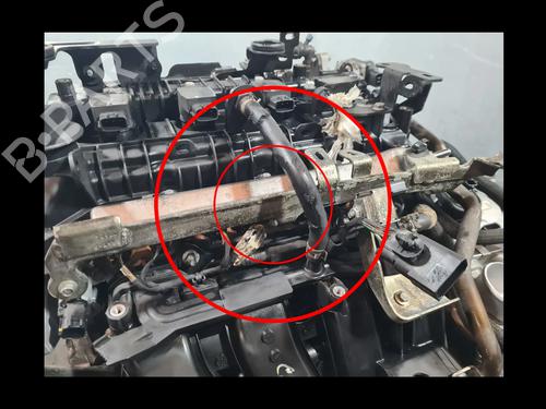 Engine RENAULT CAPTUR II (HF_)  | BP29751616M1 