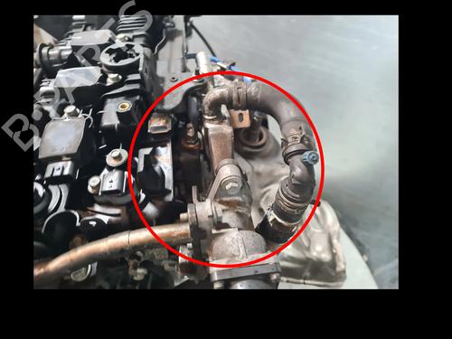 Engine RENAULT CAPTUR II (HF_)  | BP29751616M1 