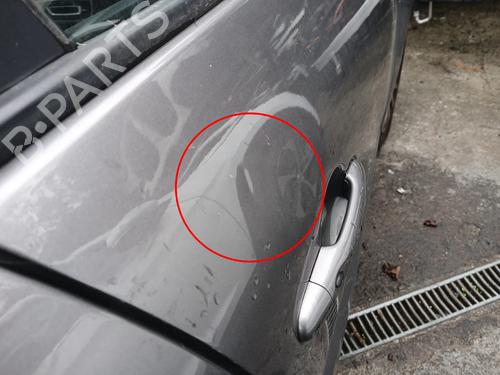 Right front door RENAULT GRAND SCÉNIC III (JZ0/1_) 1.5 dCi (JZ09, JZ0D, JZ10, JZ14, JZ1G, JZ29, JZ2C) | BP29806728C3