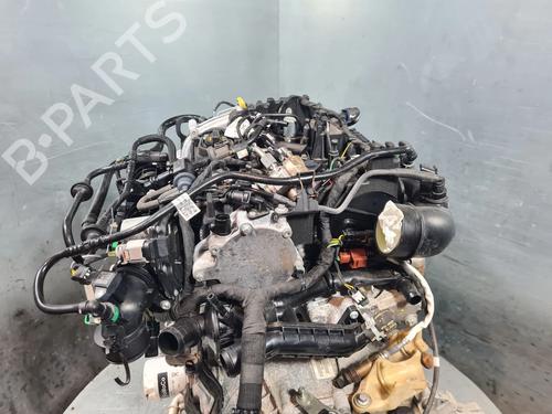 Engine FORD FIESTA VII (HJ, HF) 1.0 EcoBoost | BP20482936M1