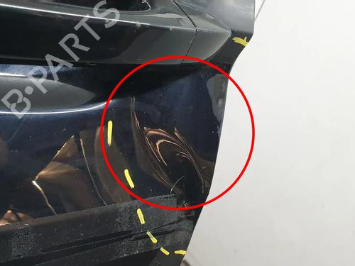 Left front door VW TIGUAN (AD1, AX1) 1.5 TSI | BP29923230C2 