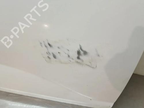 Right front door DACIA LOGAN III (3K_) 1.0 TCe 100 ECO-G | BP29942951C3