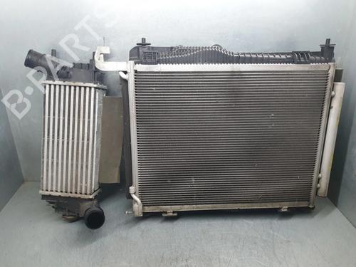 Kølerpakke FORD PUMA (J2K, CF7) 1.0 Flexifuel (125 hp) 29563440