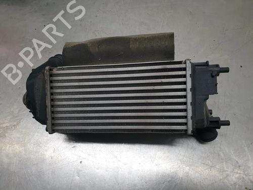 Juego de radiadores FORD PUMA (J2K, CF7) 1.0 Flexifuel | BP29563440M120 