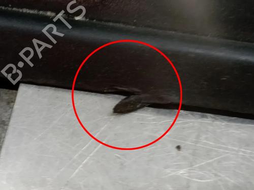 Left sideskirt CITROËN C3 III (SX) 1.6 BlueHDi 75 | BP29958605C115