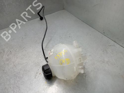 Used Expansion tank DACIA LODGY (JS_) 1.2 TCe (JSAY, JSM0) (115 hp) 29971196