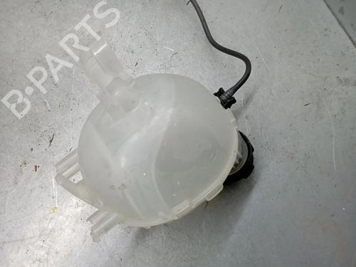 Expansion tank DACIA LODGY (JS_) 1.2 TCe (JSAY, JSM0) | BP29971196C120