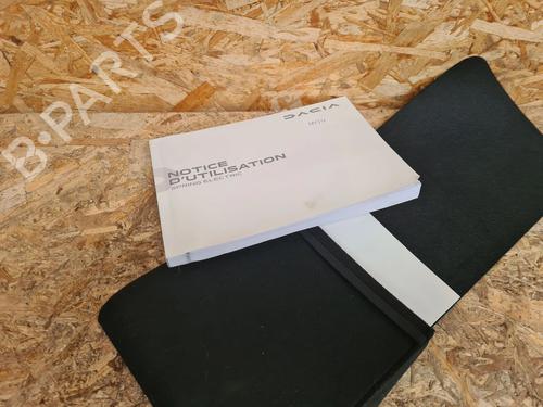 Other DACIA SPRING Extreme | BP30148961O1 