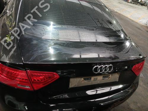 Used Tailgate AUDI A5 Sportback (8TA) 2.0 TDI (150 hp) 30325307