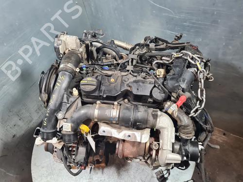 Engine FORD FIESTA VII (HJ, HF) 1.5 TDCi | BP26049124M1