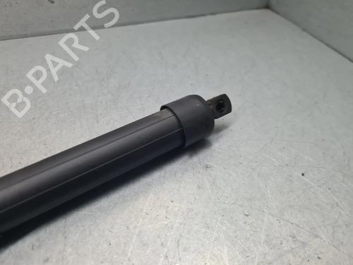 Tailgate lift support PEUGEOT 3008 II SUV (MC_, MR_, MJ_, M4_) 2.0 BlueHDi 180 | BP30471111C138 