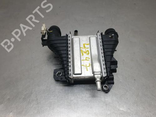 Intercooler RENAULT MEGANE IV Hatchback (B9A/M/N_) 1.5 Blue dCi 115 (B9A6) (116 hp) 30788901