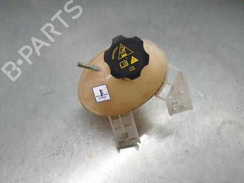 Used Expansion tank FIAT 500X (334_) 1.6 (334AXE1A) (110 hp) 30849039