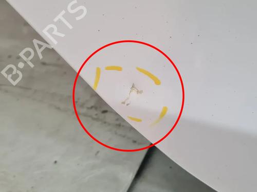 Dør højre bagtil DACIA LOGAN II 1.5 dCi | BP16962896C5 